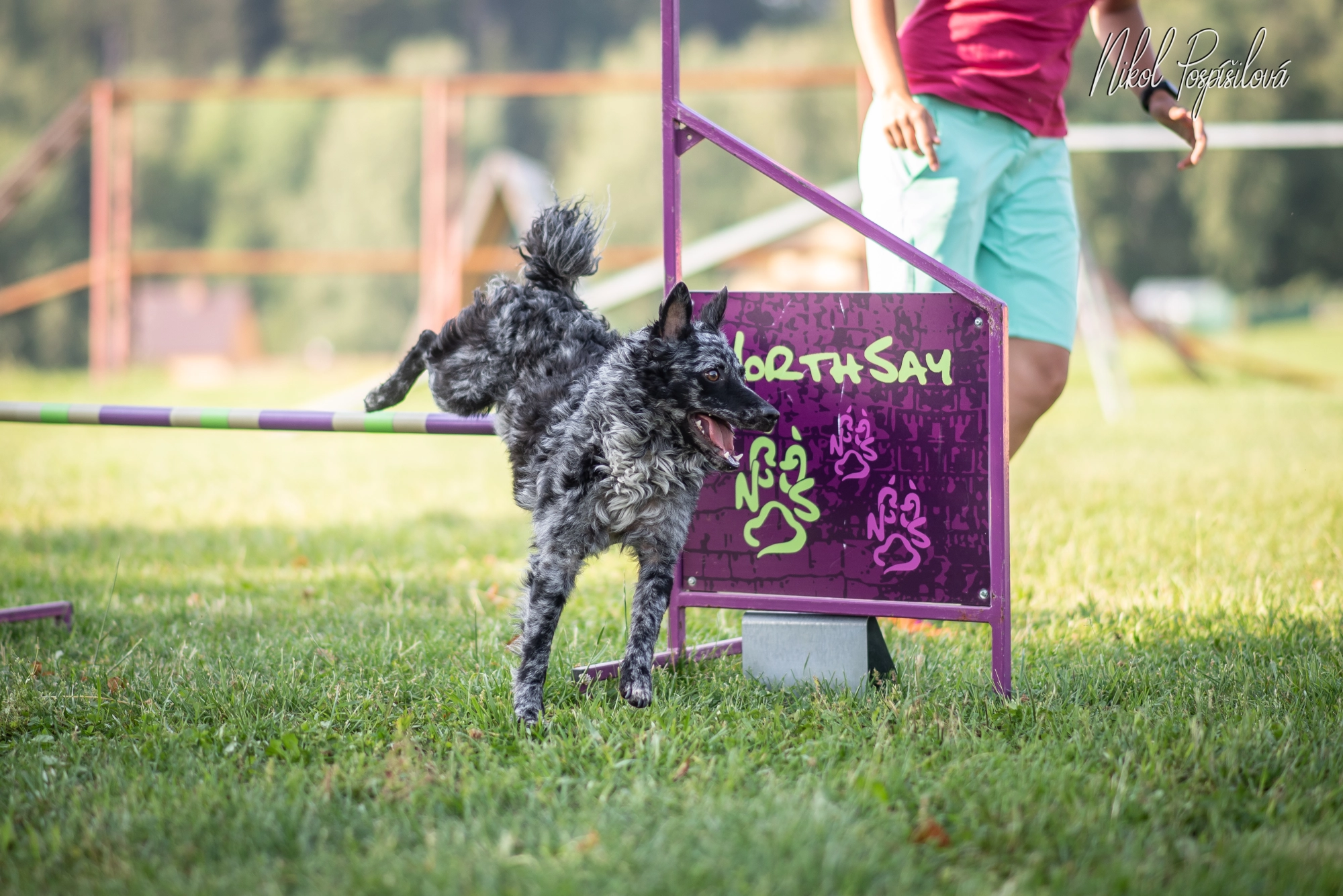 Agility
