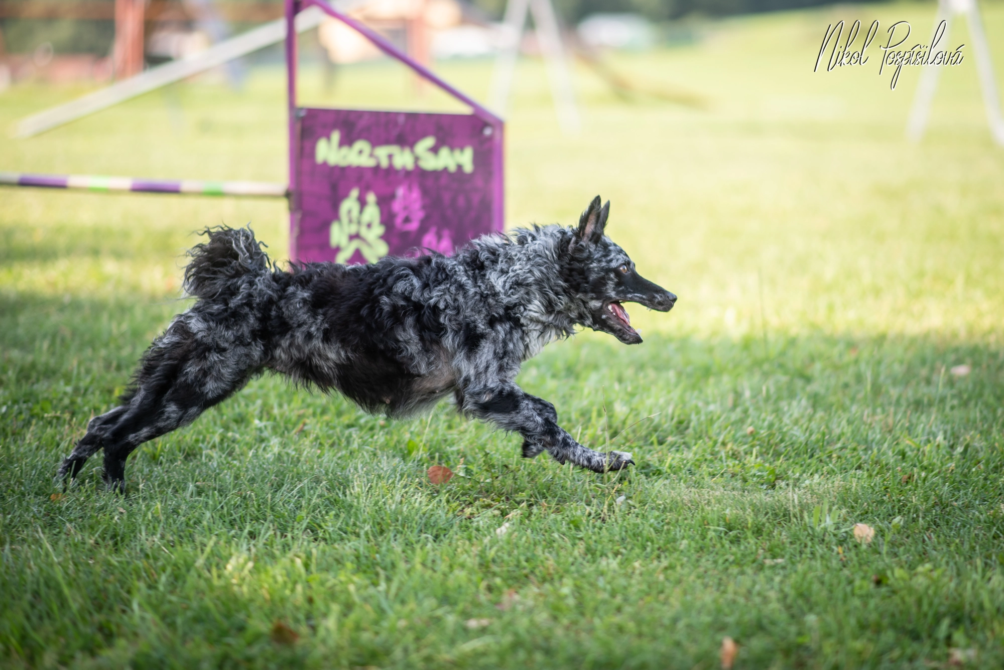 Agility