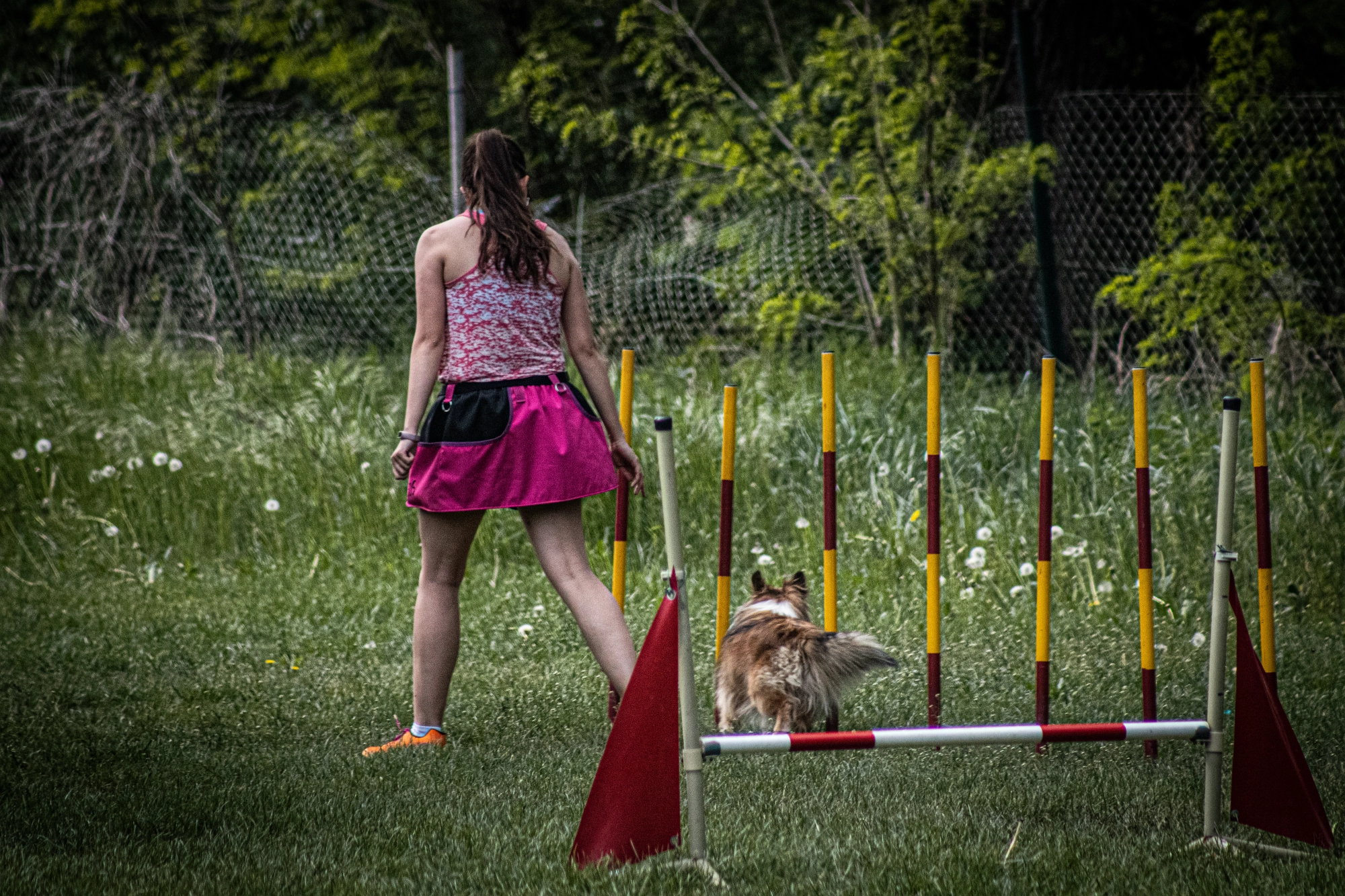 Agility