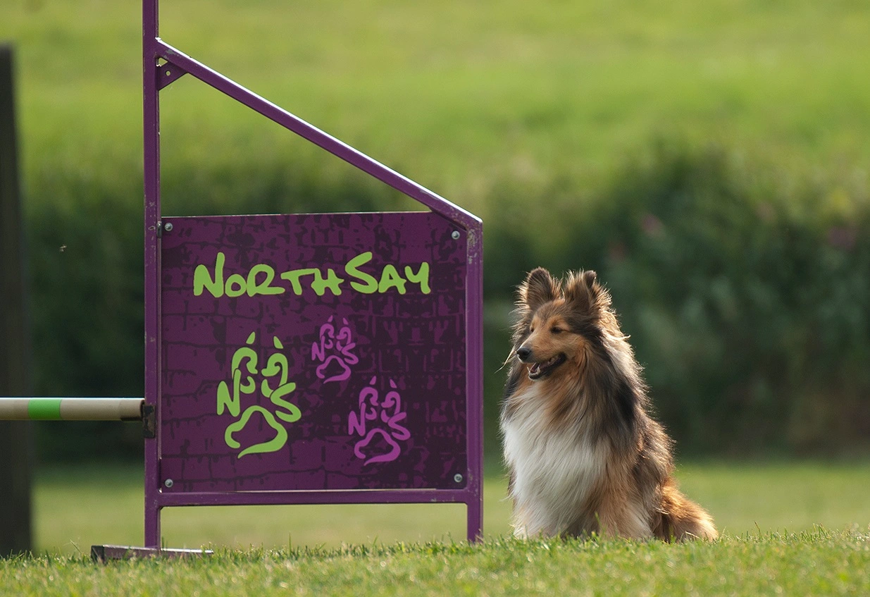 Agility