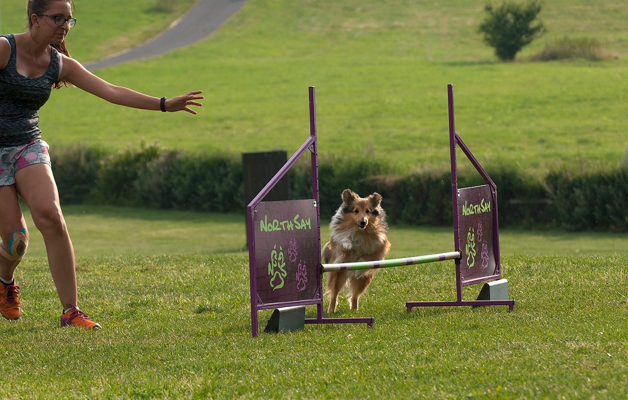 Agility
