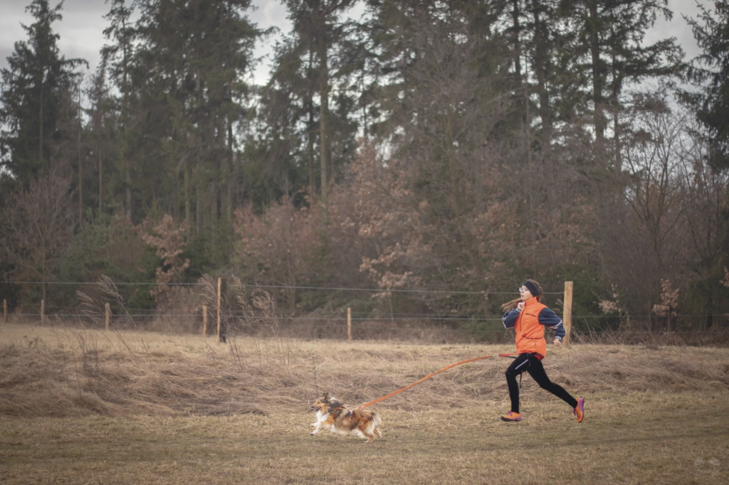 Canicross a bikejoring
