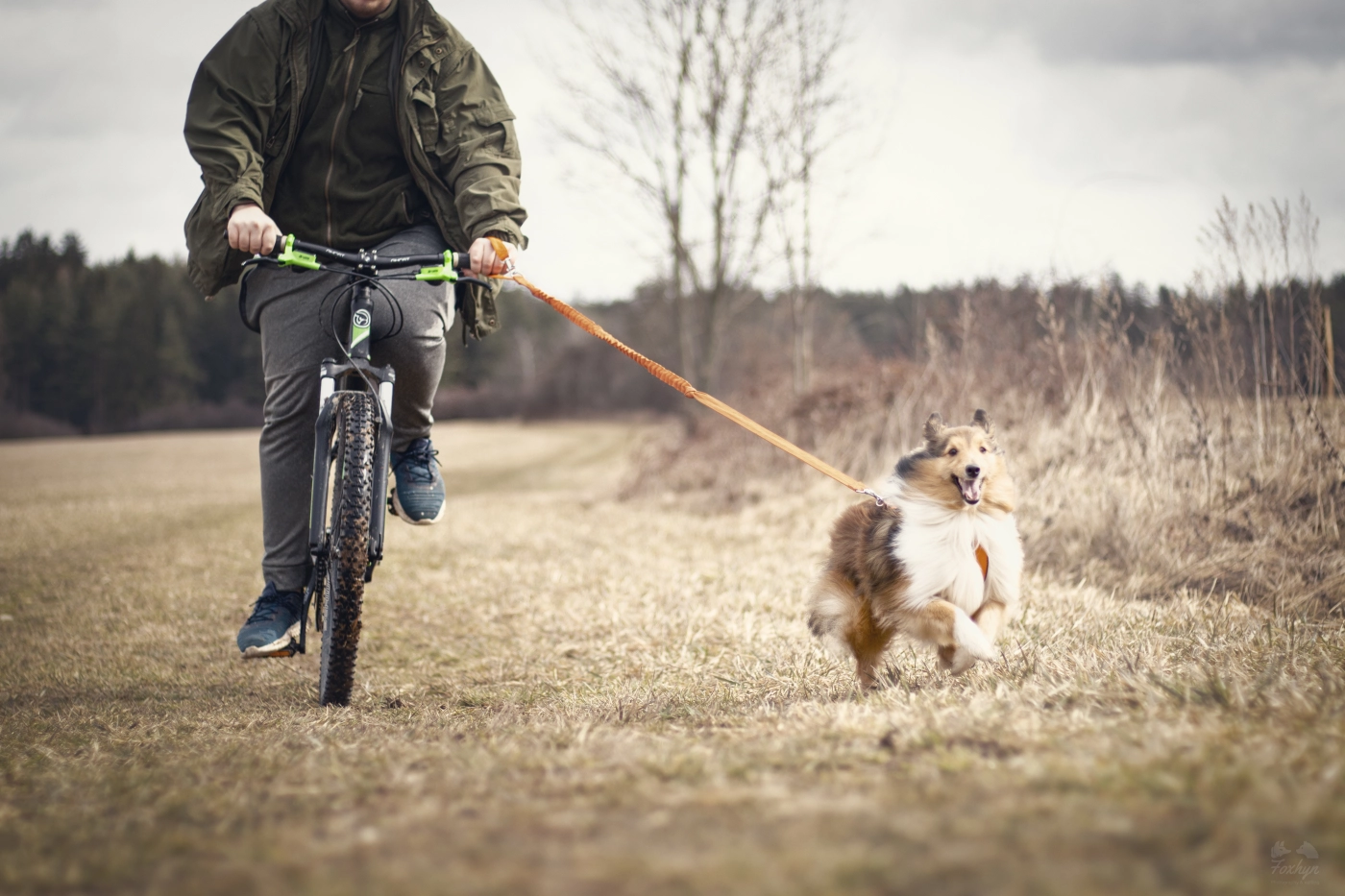 Canicross & Bikejoring