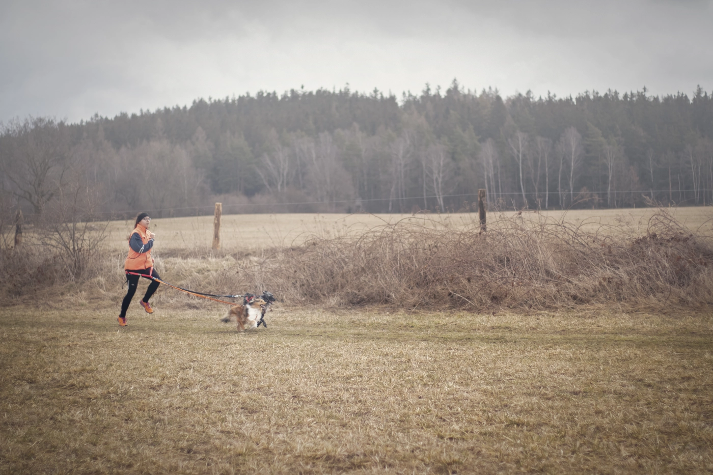 Canicross & Bikejoring