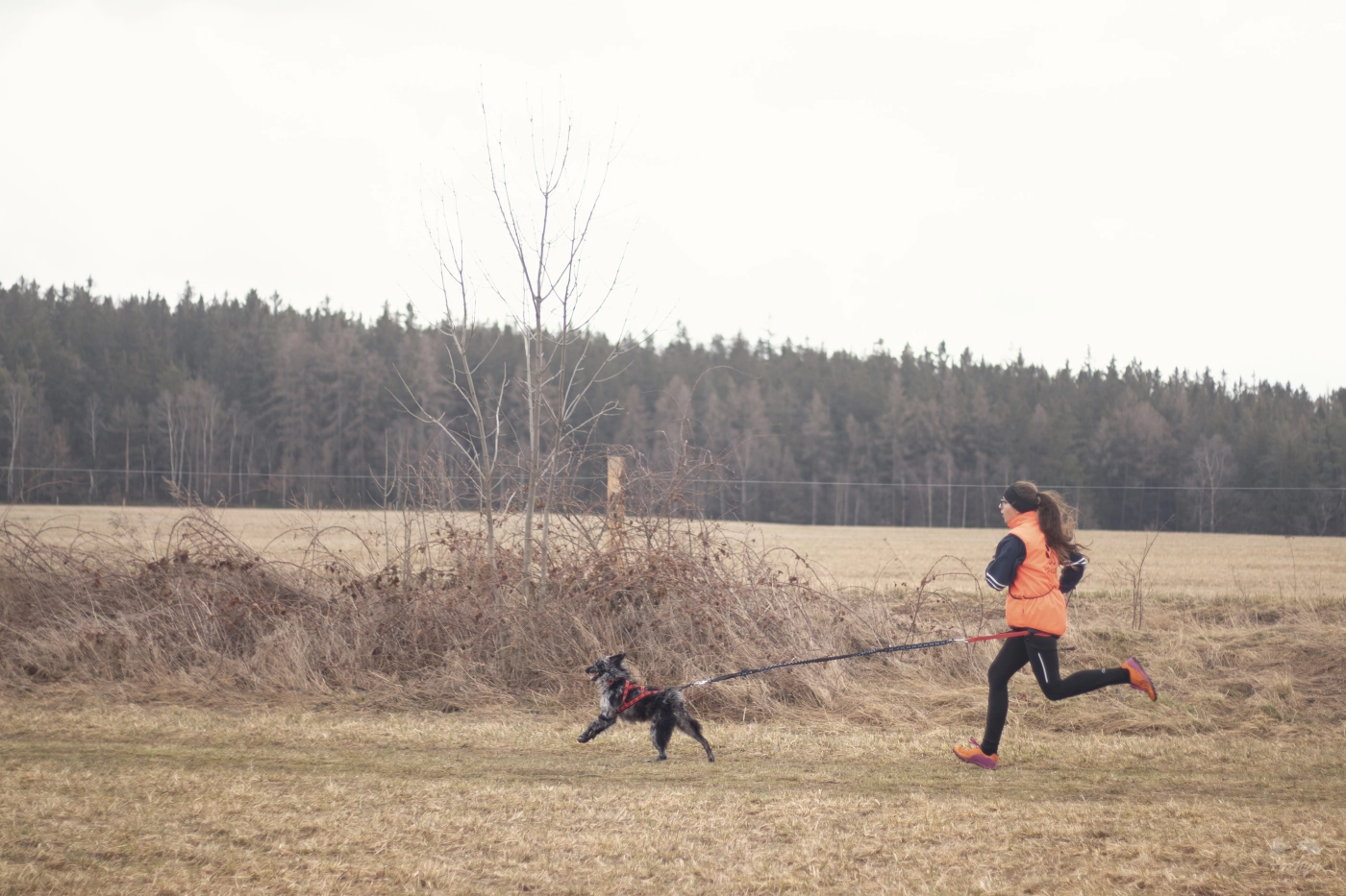 Canicross & Bikejoring