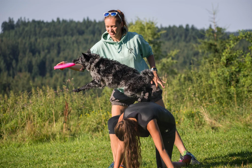 Dogfrisbee