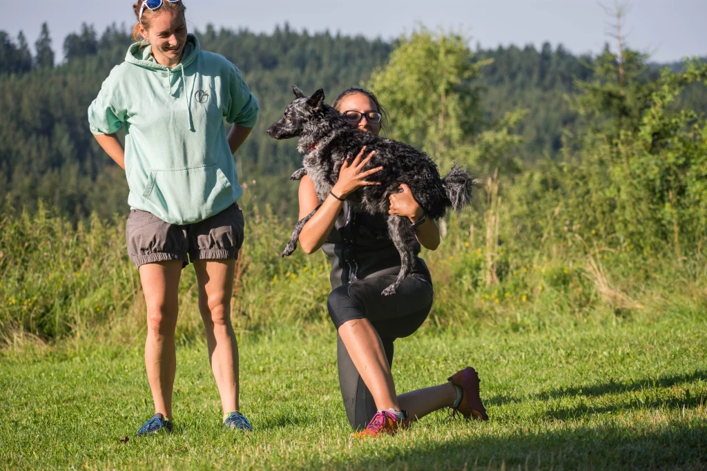 Dogfrisbee