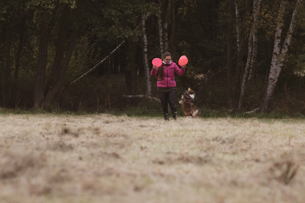 Dogfrisbee