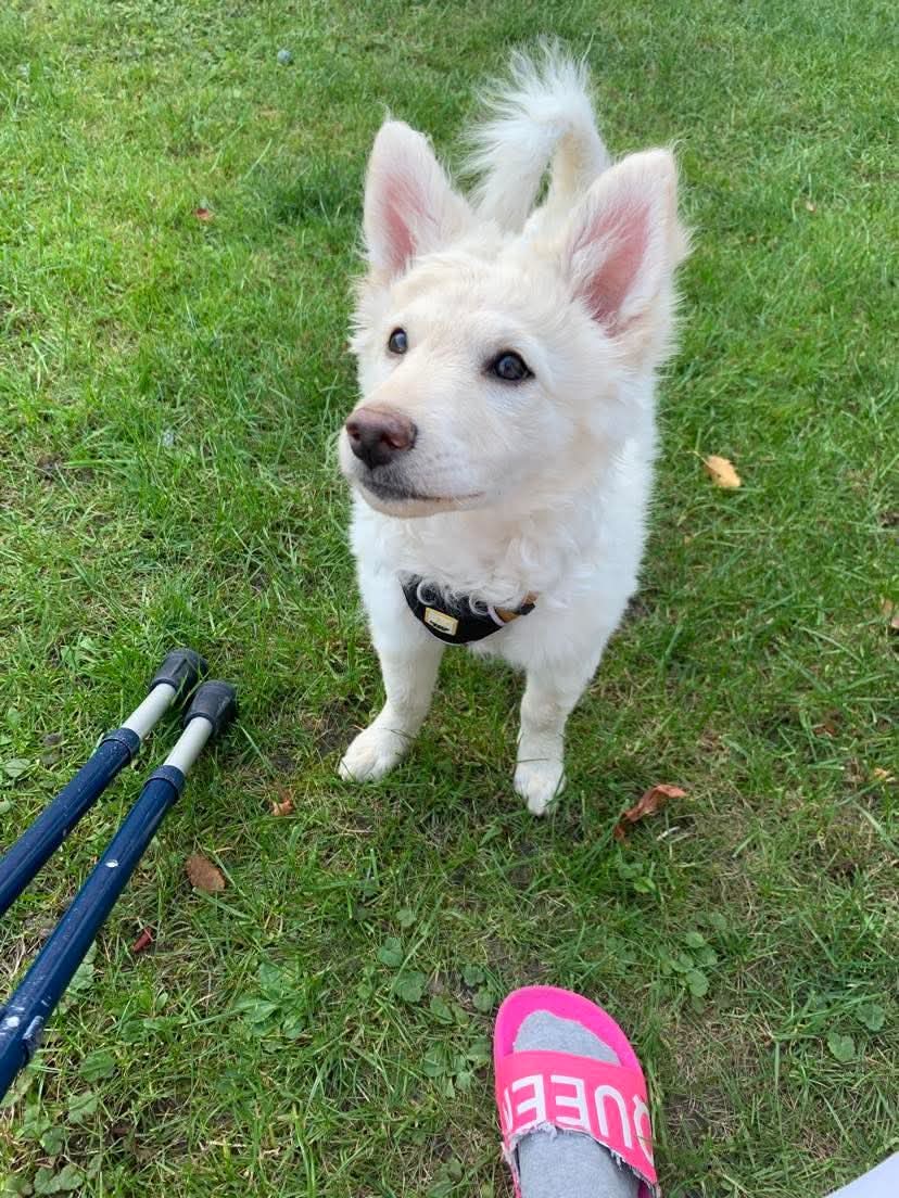 Ali