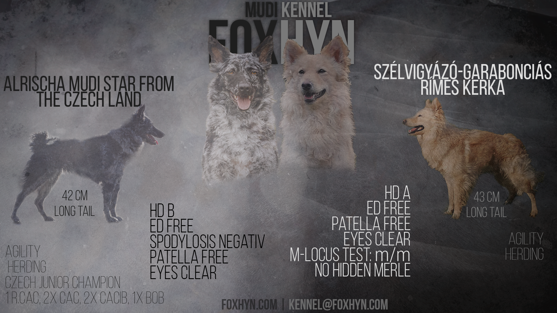Plakát vrhu