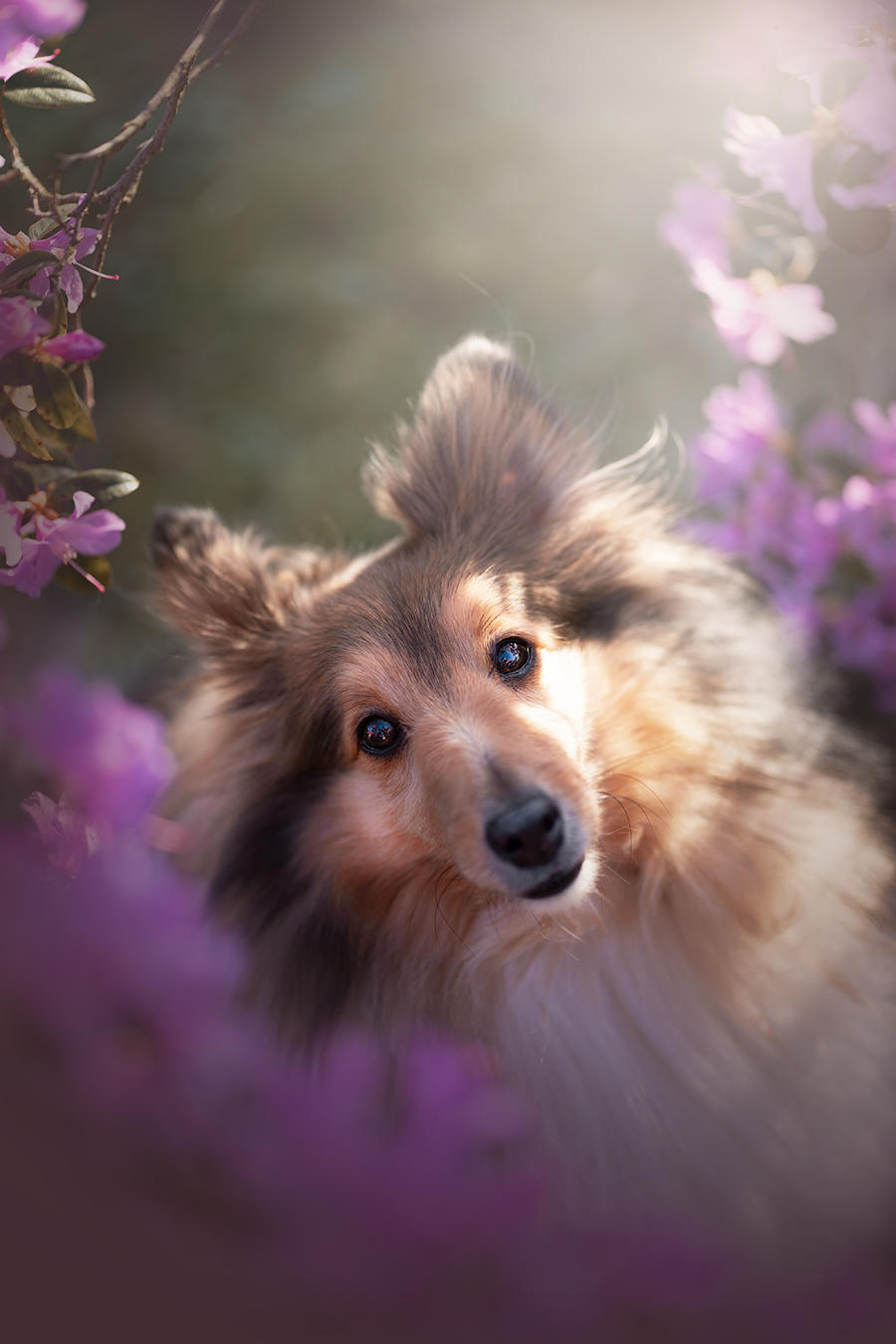 Omega z Otvovické skály (Meggie)